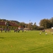 Fotbalové odpoledne s FC Olešnice