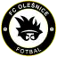 FC Olešnice